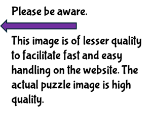 A Trip on the Ferry Puzzle
