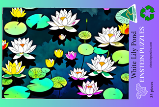 White Lily Pond Puzzle – Einstein Puzzles
