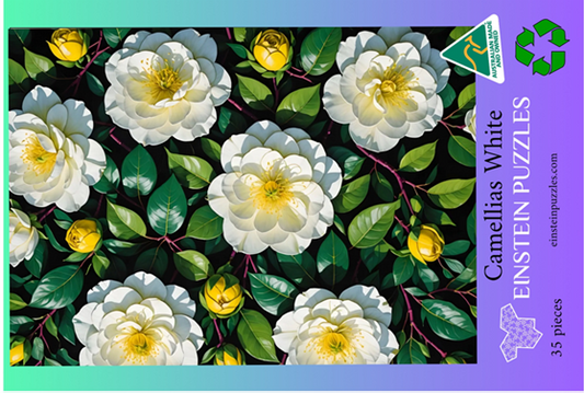 Camellias White