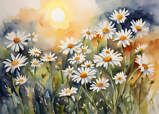 Daisies 2